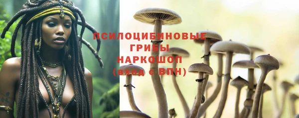 экстази Карпинск