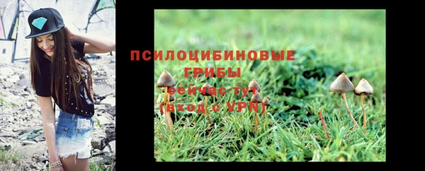 apvp Карталы