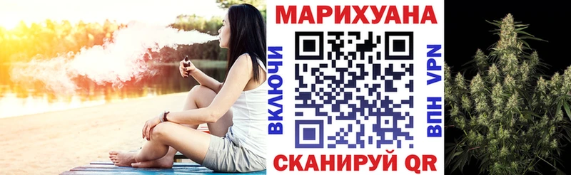 Купить закладки  Поворино  Конопля сатива 